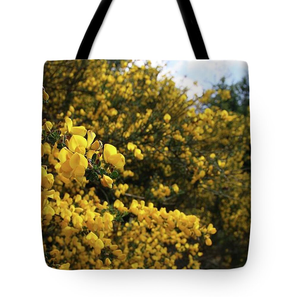 Flower Tote Bag featuring the photograph Scotch Broom by KATIE Vigil