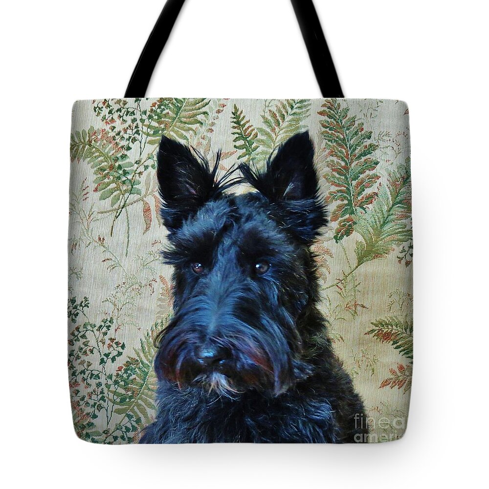 Scottie Tote Bag featuring the photograph Scottie by Michele Penner