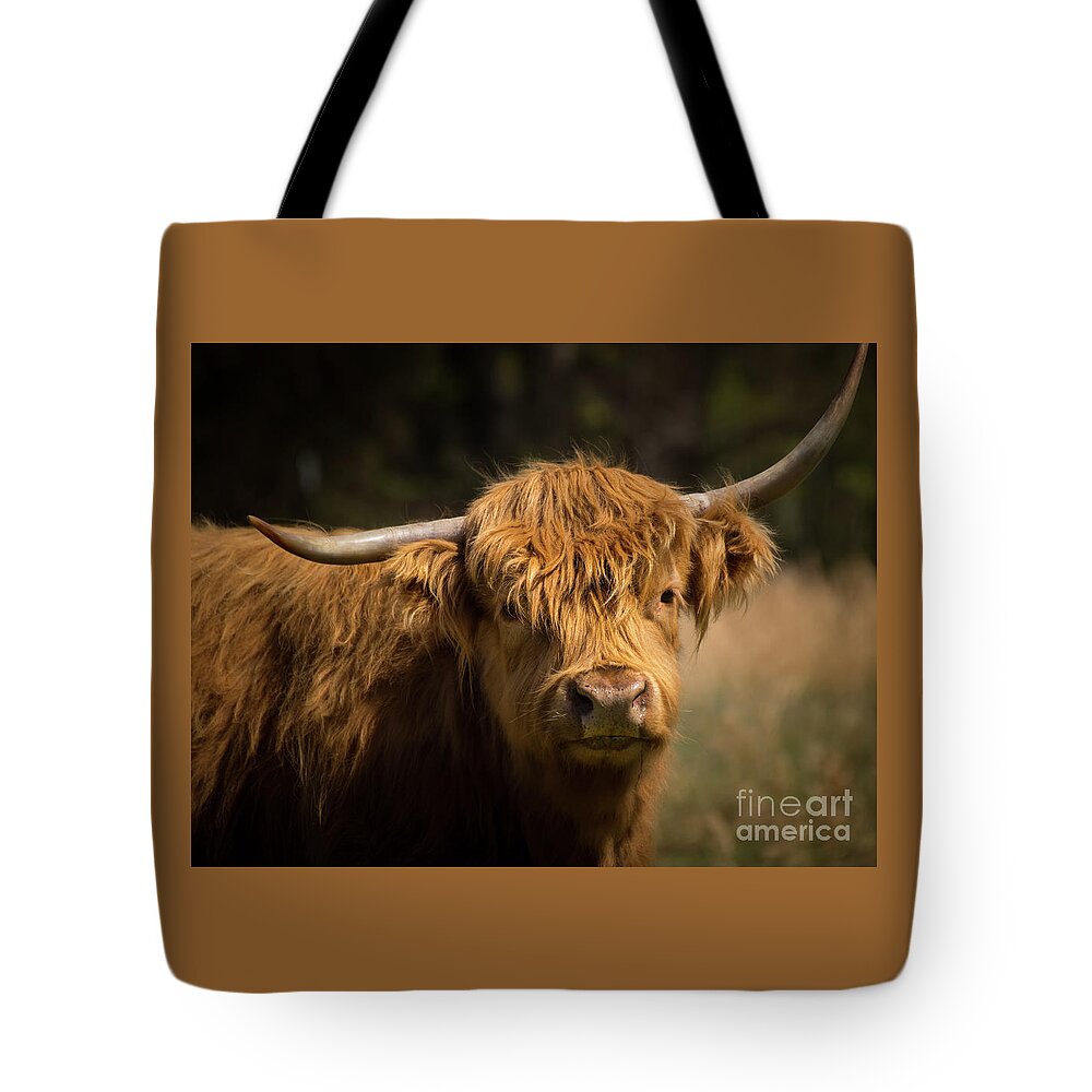 Scottish Highlands Cow Tote Bag featuring the photograph Scottish Highlands Cow by Jennifer Mitchell