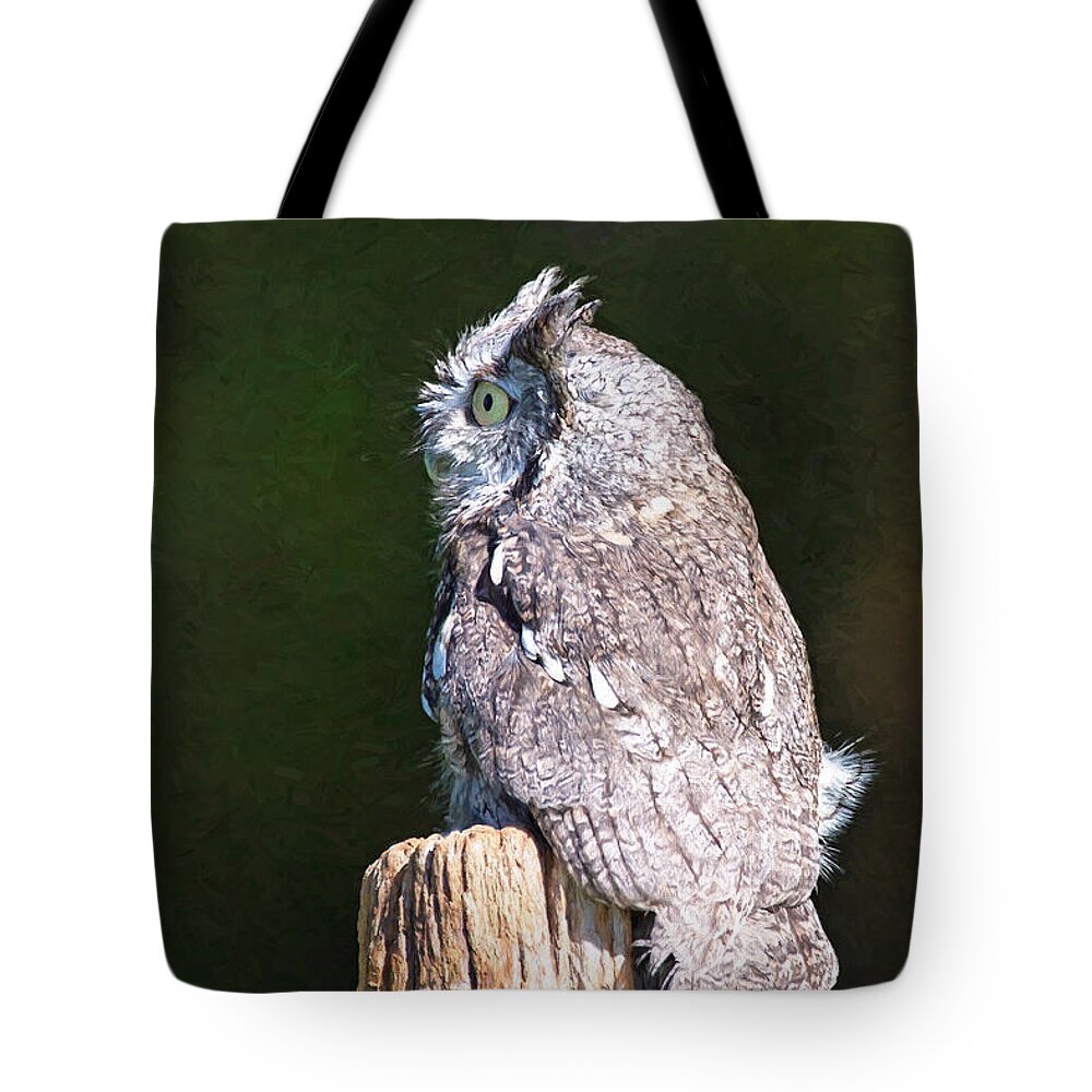 Nature Tote Bag featuring the photograph Screech Owl Profile by Sharon McConnell