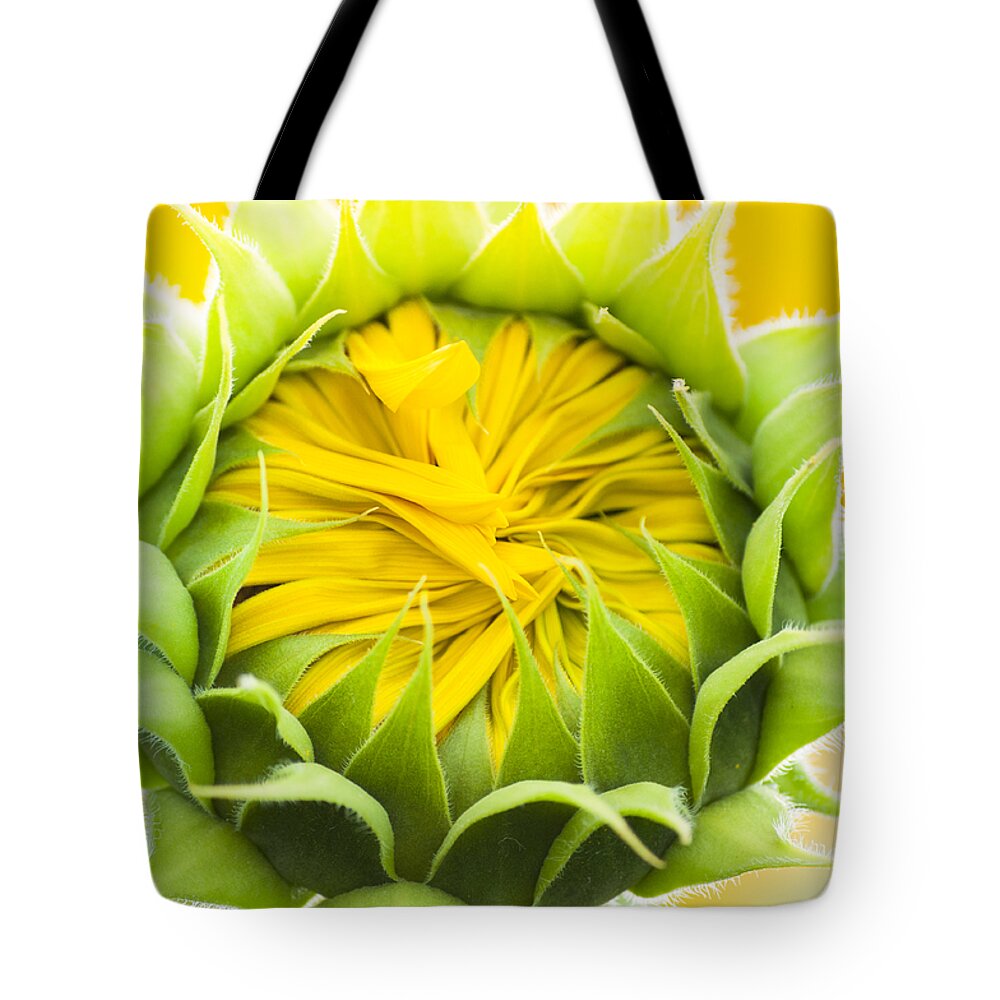 Christi Kraft Tote Bag featuring the photograph Scrunched by Christi Kraft