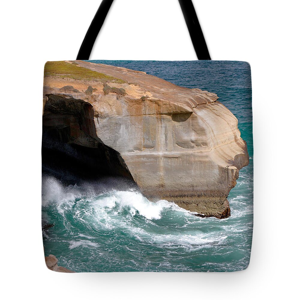 Sculpture Tote Bag featuring the photograph Sculpture by Nicholas Blackwell