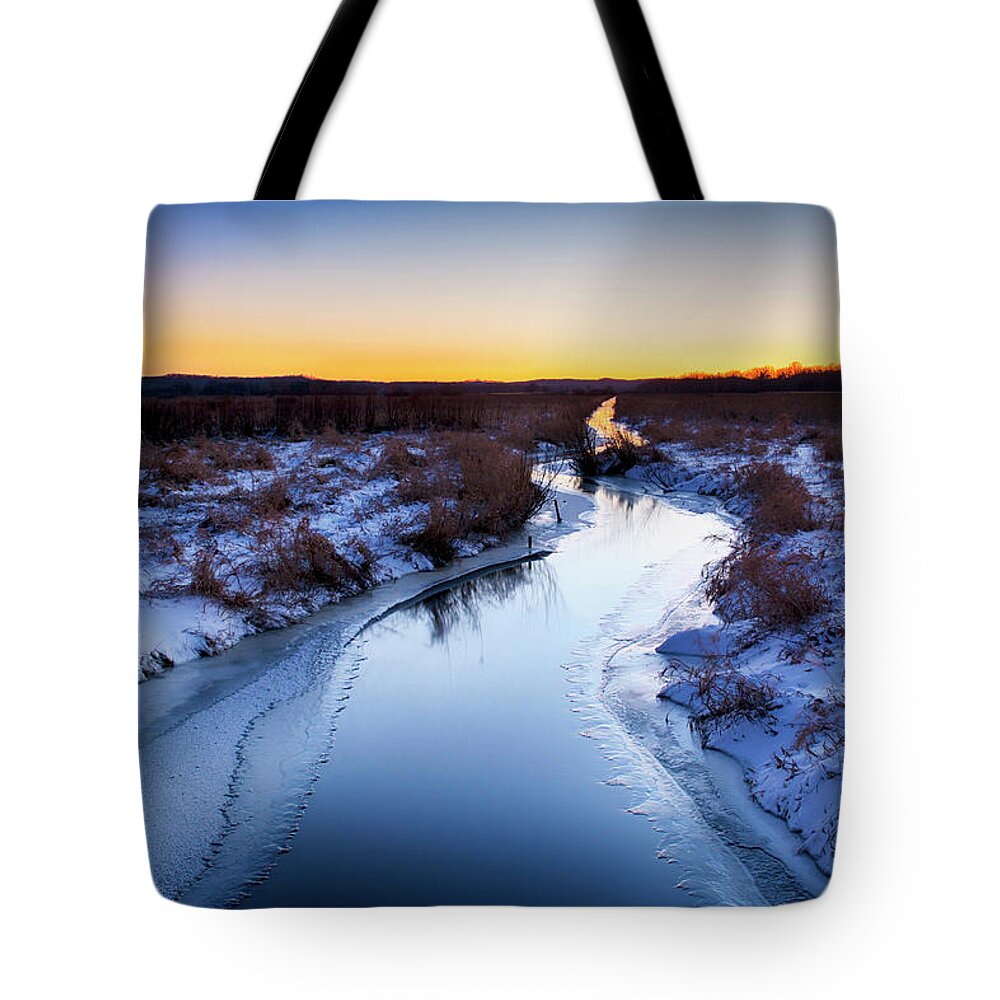  Tote Bag featuring the photograph Scuppernong by Dan Hefle
