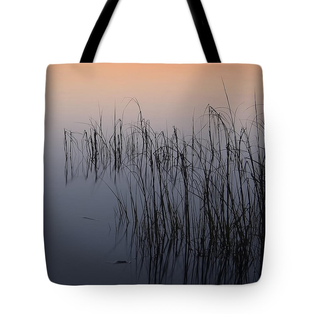 Florida Tote Bag featuring the photograph Sea Grass at Dusk by Bill Chambers