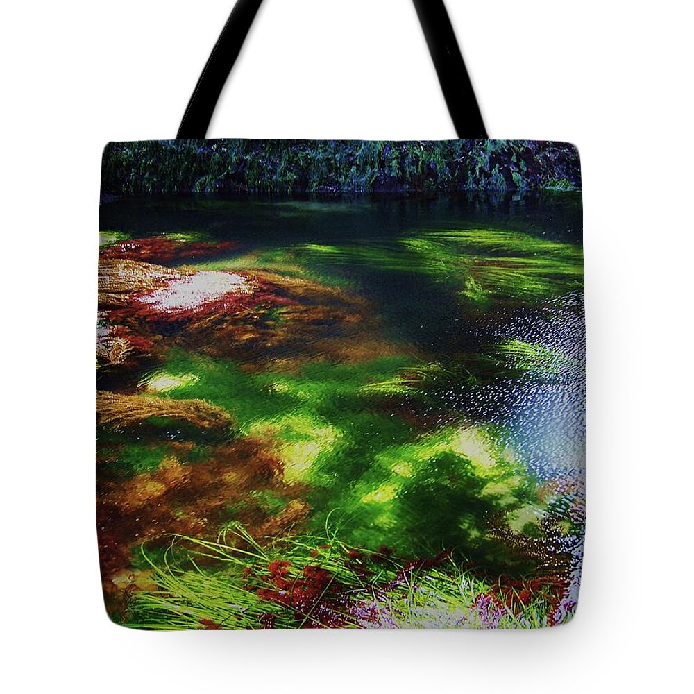 Tide Pool Tote Bag featuring the photograph Sea Grass by Julie Rauscher