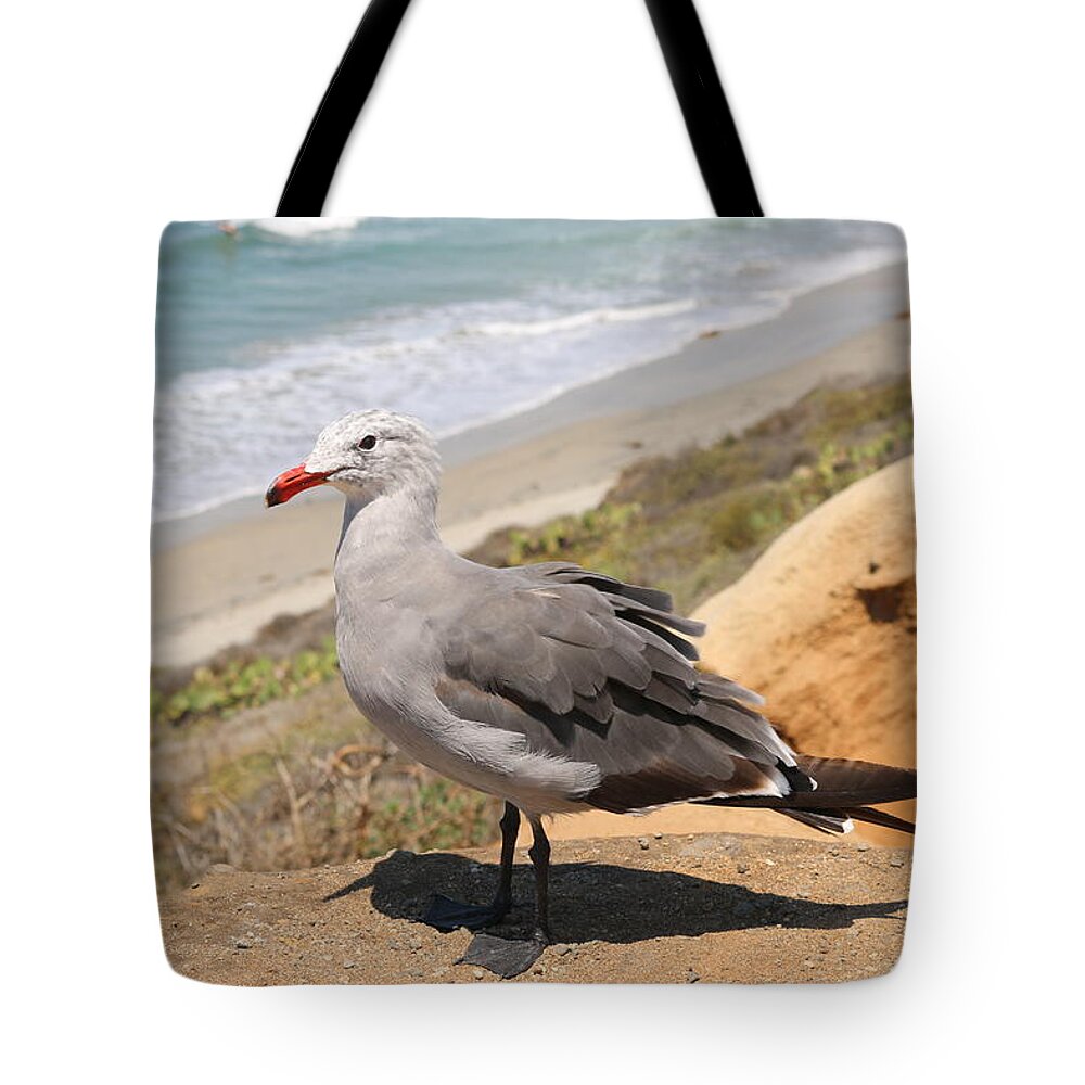 Heermann's Tote Bag featuring the photograph Heermann's Gull by Christy Pooschke