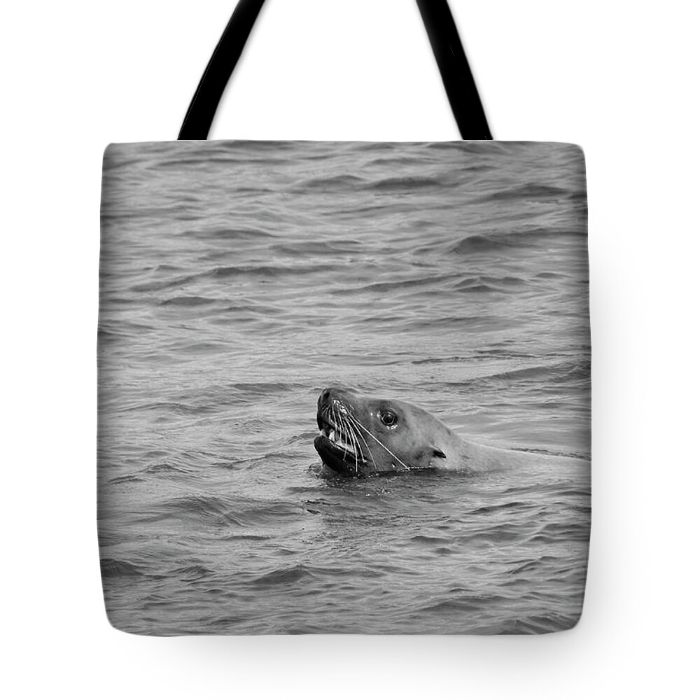 Animals Tote Bag featuring the photograph Sea Lion in the Wild by Paul Ross