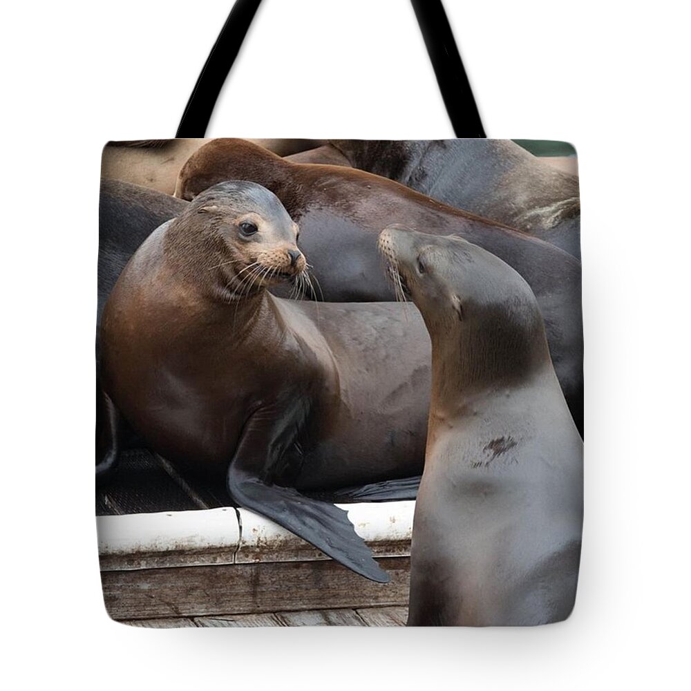 Sealion Tote Bag featuring the photograph Sea Lions At Pier 39 In San Francisco by Michael Moriarty