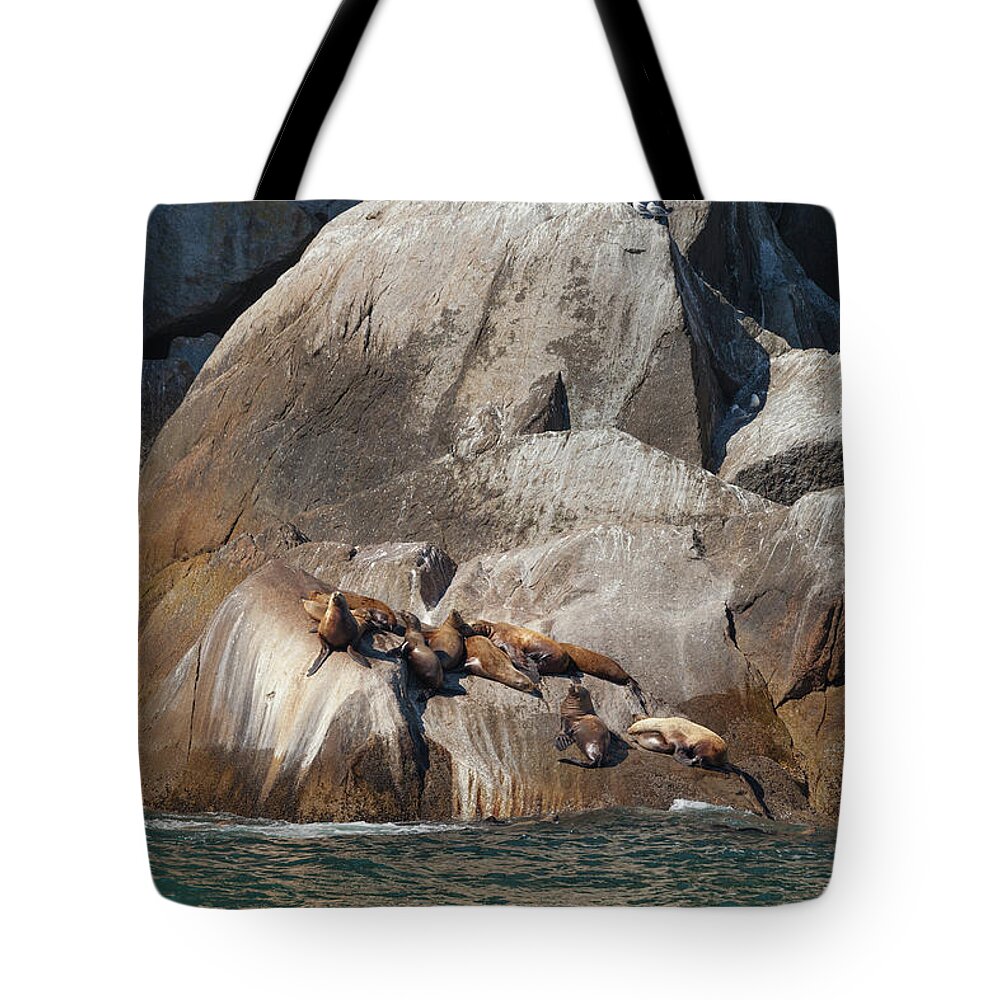 Steller Sea Lion Tote Bag featuring the photograph Sea Lions by Scott Slone