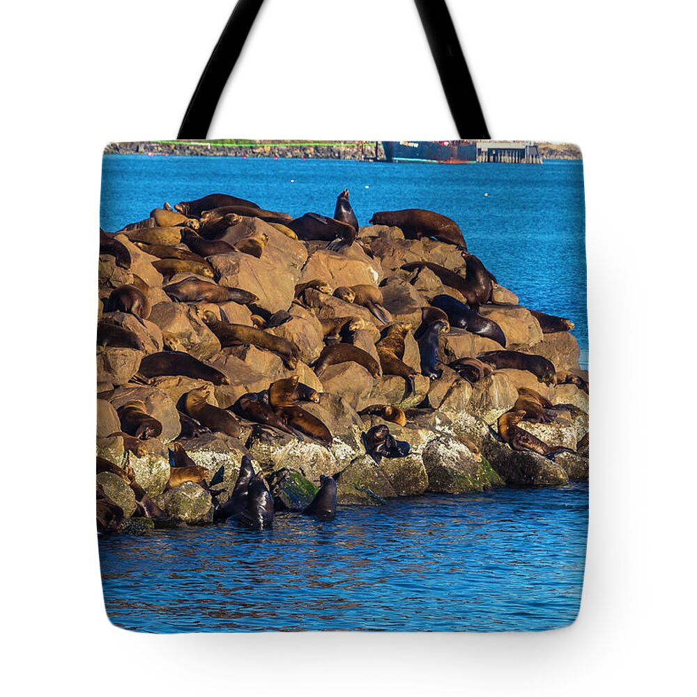 Coloney Tote Bag featuring the photograph Sea Lions Sunning On Rocks by Garry Gay