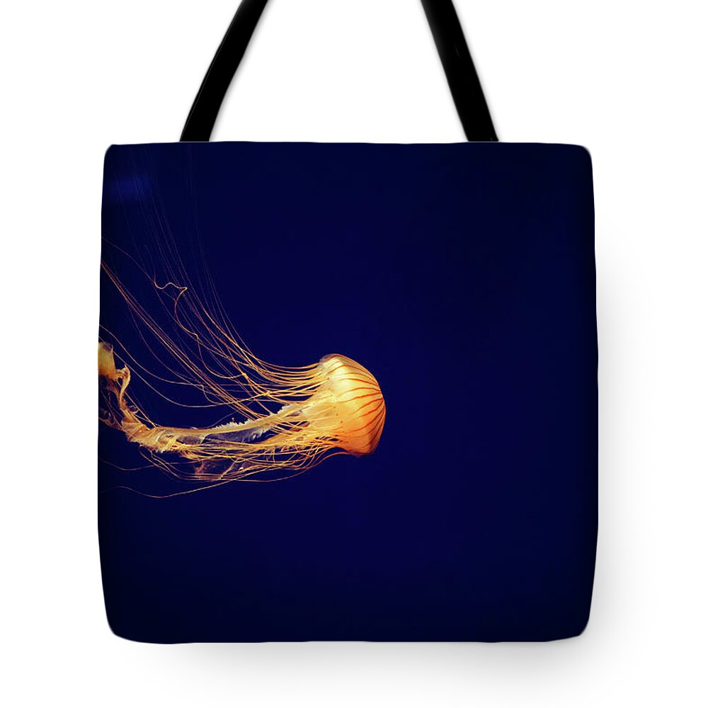 Sea Nettle Jellyfish Tote Bag featuring the photograph Sea Nettle Dance by Diane Macdonald