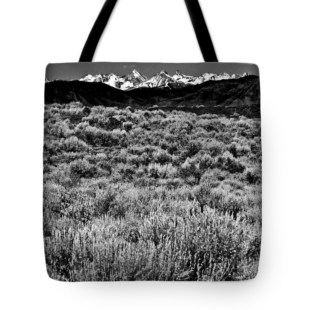 Old West Tote Bag featuring the photograph Sea Of Sage by Joseph Noonan