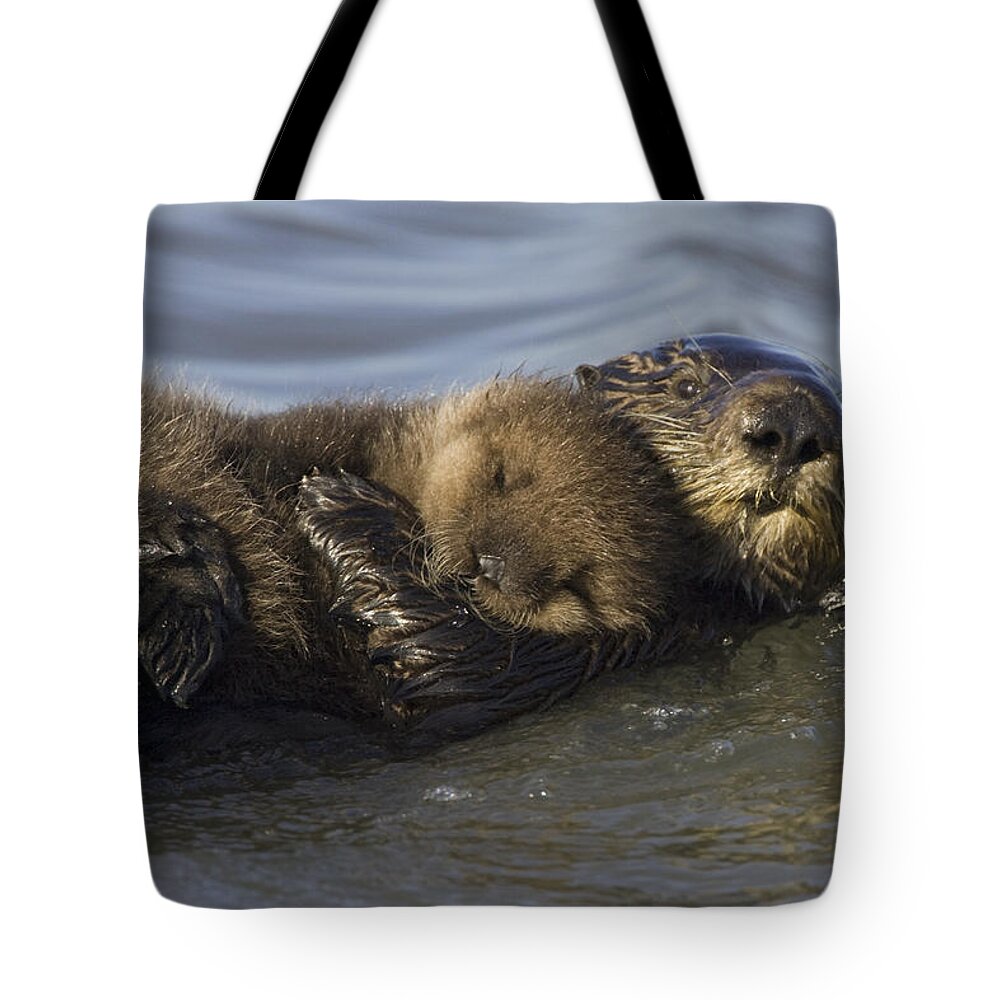 00438549 Tote Bag featuring the photograph Sea Otter Mother With Pup Monterey Bay by Suzi Eszterhas