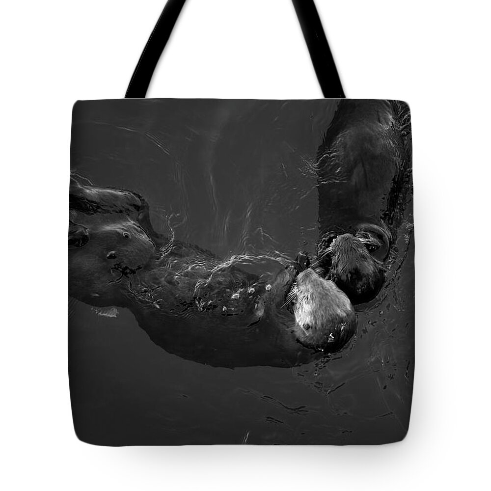 Sea Otter Tote Bag featuring the photograph Sea Otters V BW by David Gordon