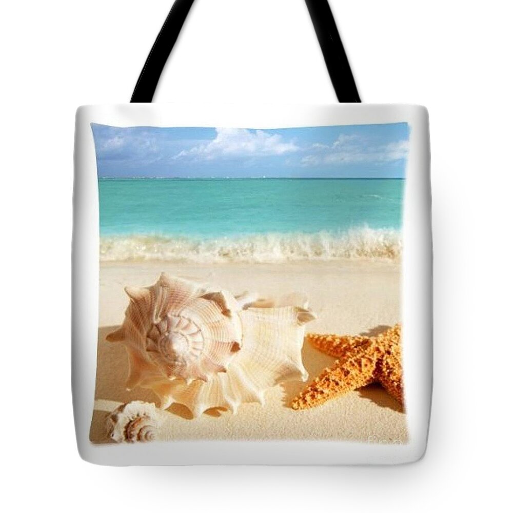  Tote Bag featuring the tapestry - textile Sea Shell Seashell Clam Beach Decorative Square Zippered Throw Pillow by Emily Adam