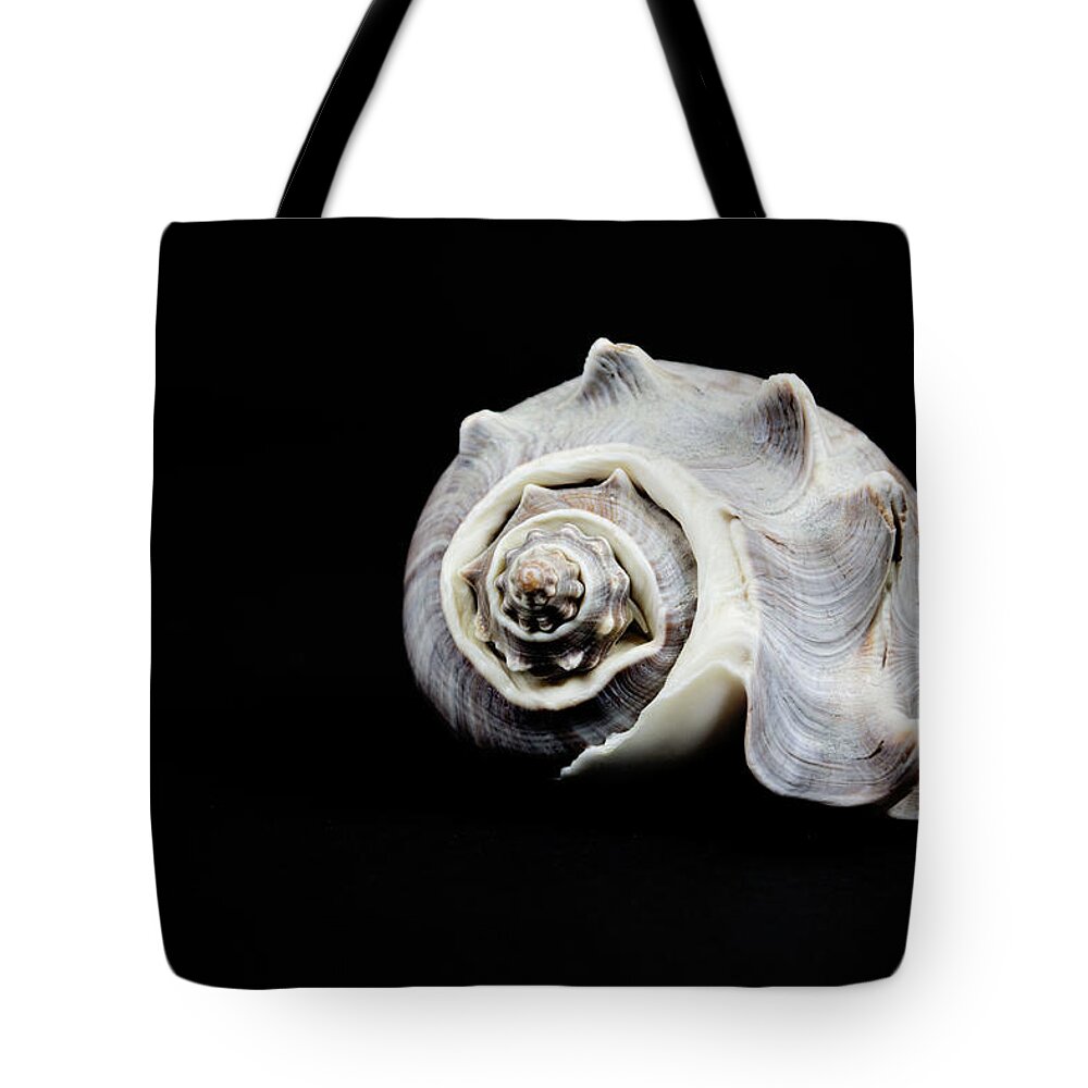 Objects Tote Bag featuring the photograph Sea Shell by Susan Newcomb