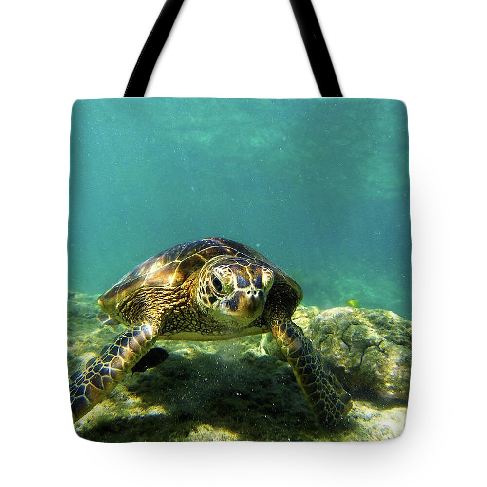 Sea Turtle Tote Bag featuring the photograph Sea Turtle #3 by Anthony Jones