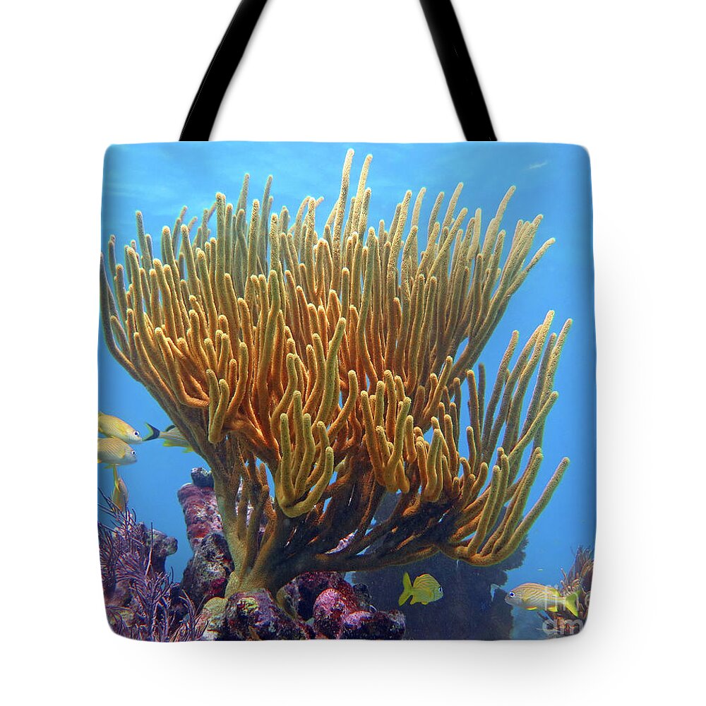 Underwater Tote Bag featuring the photograph Sea Whip by Daryl Duda