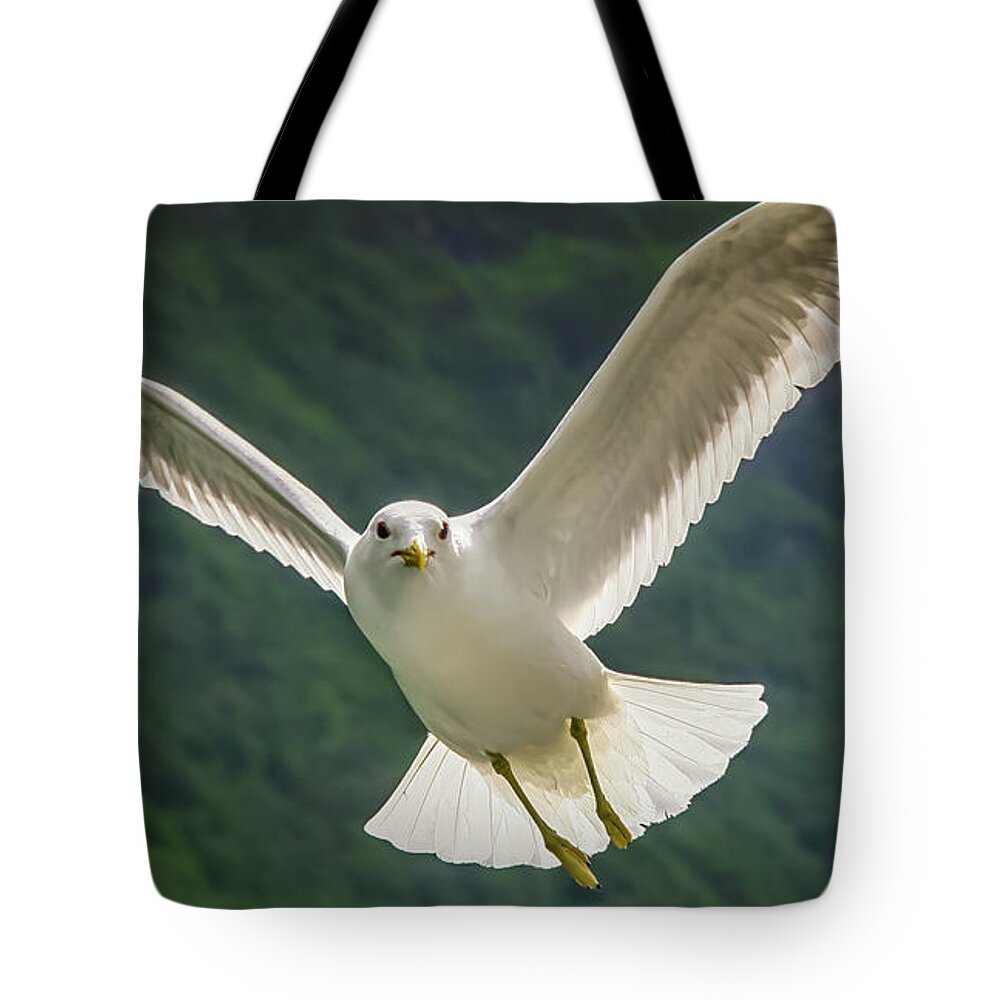 Seagull Tote Bag featuring the photograph Seagull at the Fjord by KG Thienemann