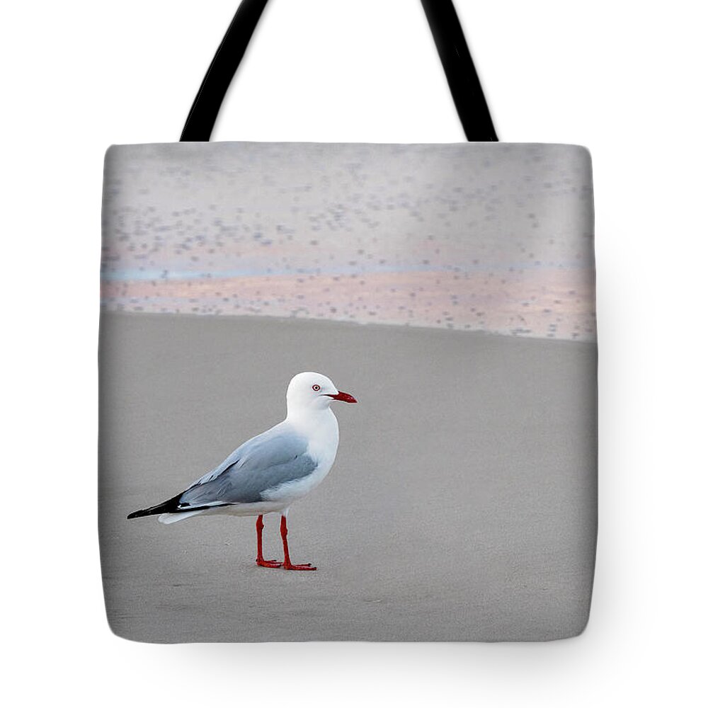 Seagull Tote Bag featuring the photograph Seagull by Catherine Reading