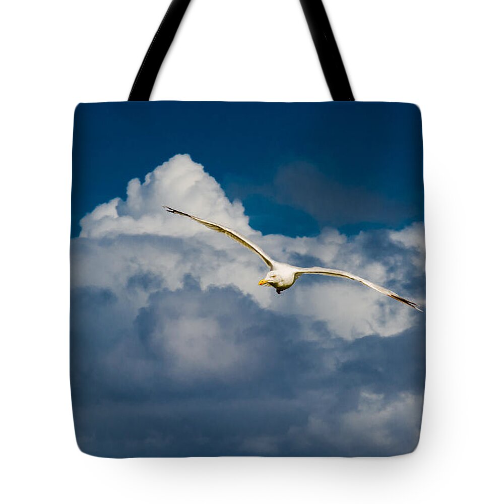 Seagull Tote Bag featuring the photograph Seagull High Over the Clouds by Andreas Berthold