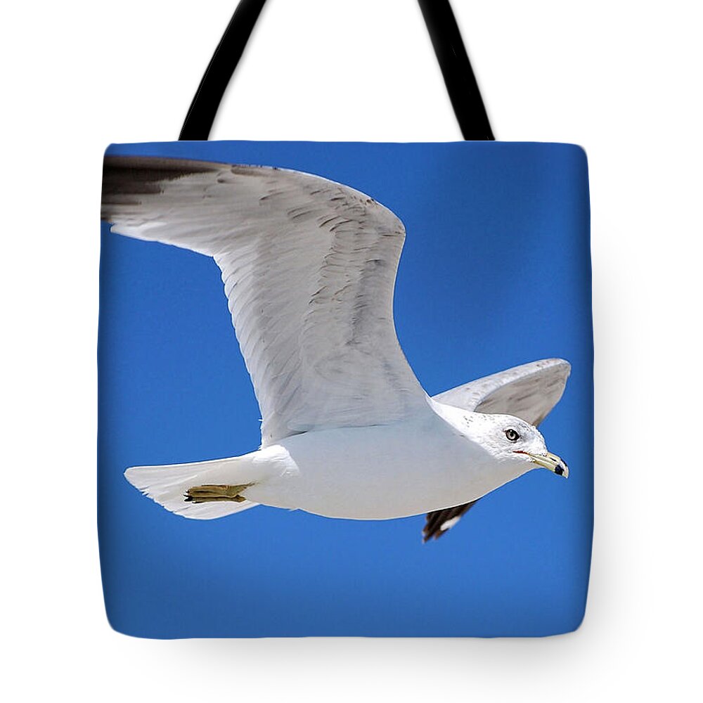 Photography Tote Bag featuring the photograph Seagull by Ludwig Keck