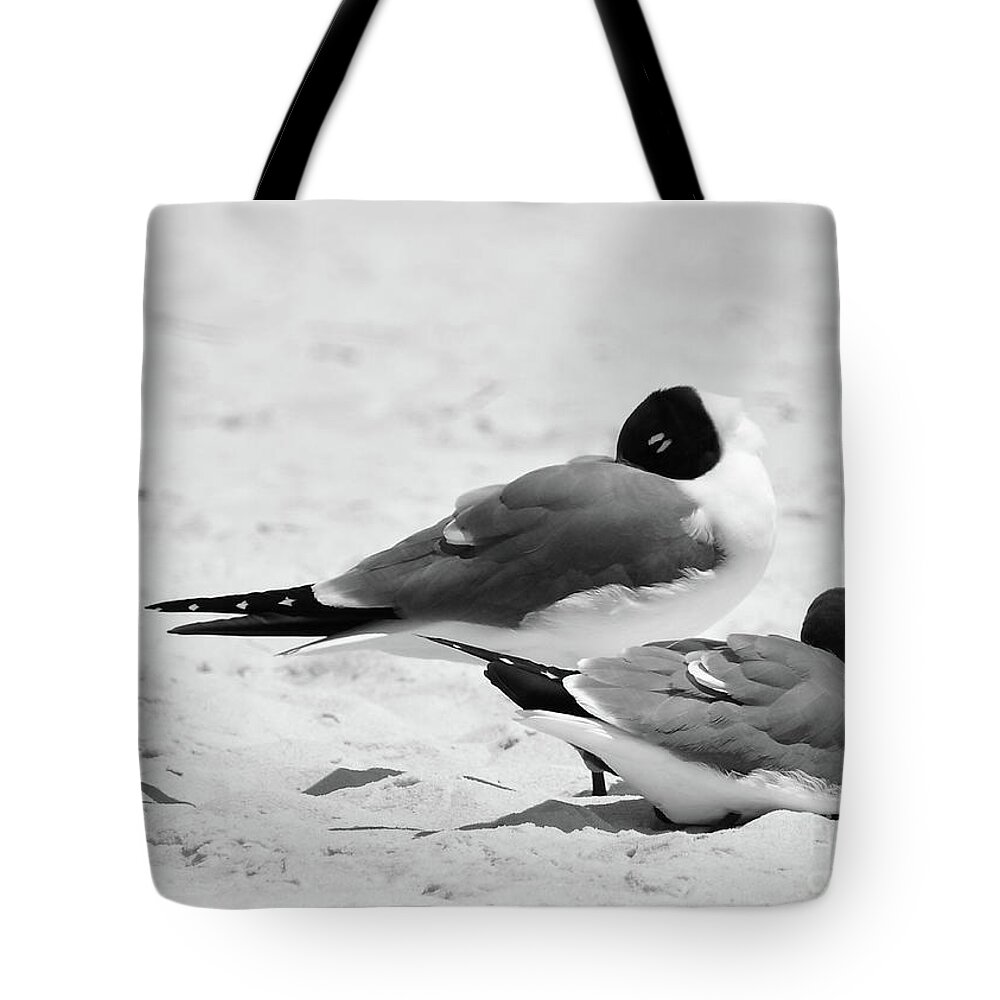 Beach Tote Bag featuring the photograph Seagull Nap Time by Susan Cliett