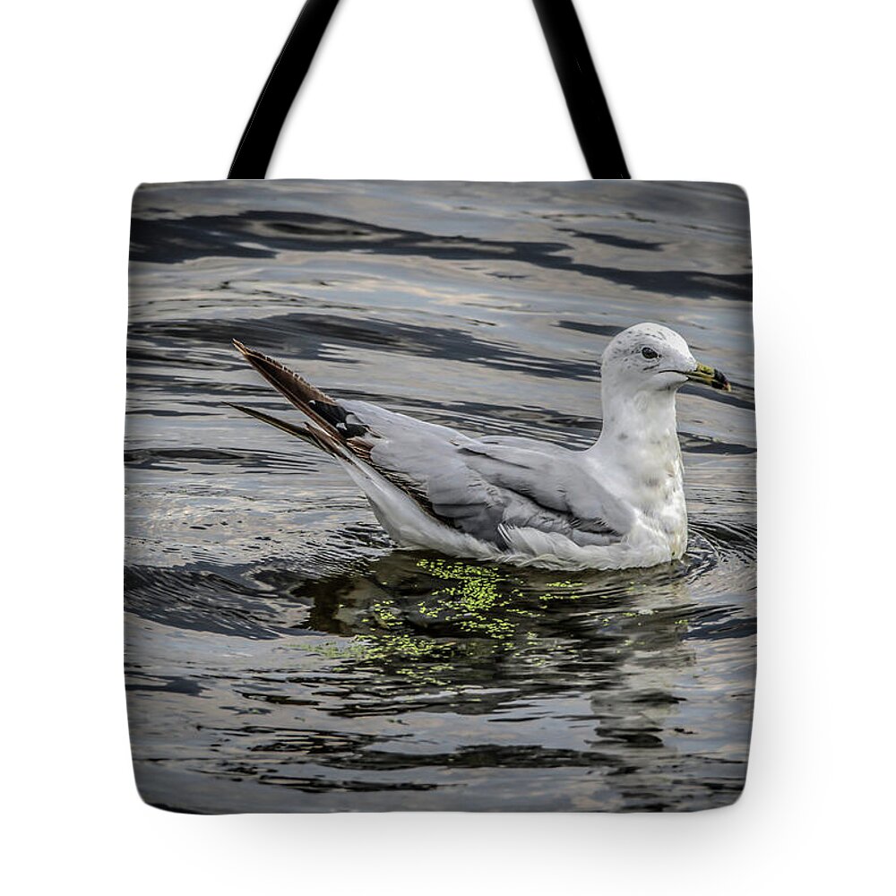 Seagull Tote Bag featuring the photograph Seagull On The River by Ray Congrove