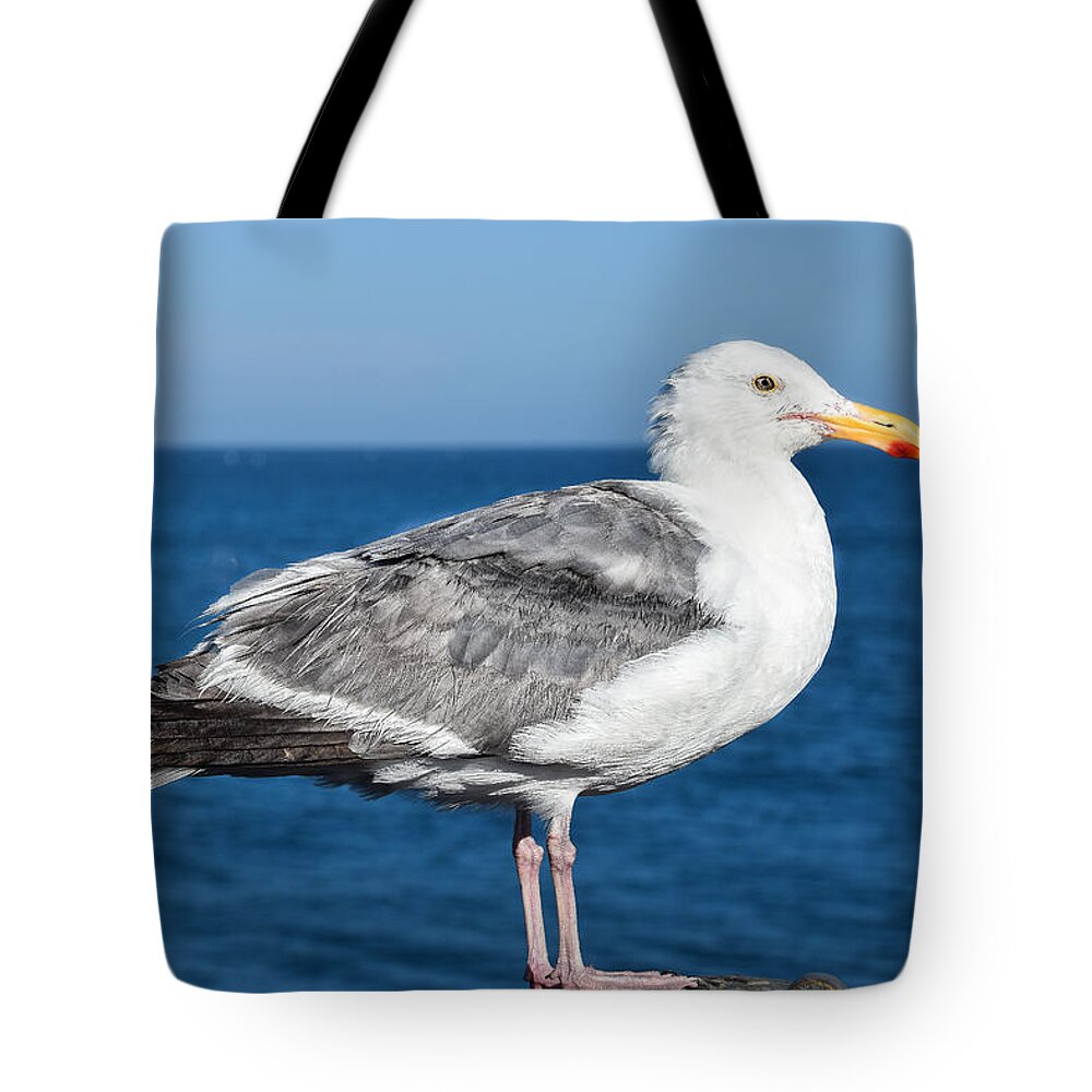 Seagull Tote Bag featuring the photograph Seagull posing on the pier by Dany Lison