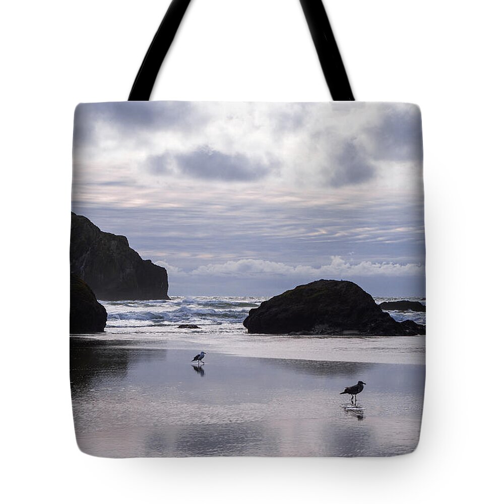 Beach Tote Bag featuring the photograph Seagull Reflections by Steven Clark