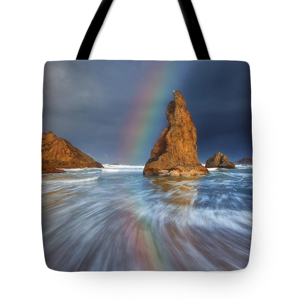 Oregon Tote Bag featuring the photograph Seagull Storm Watch by Darren White