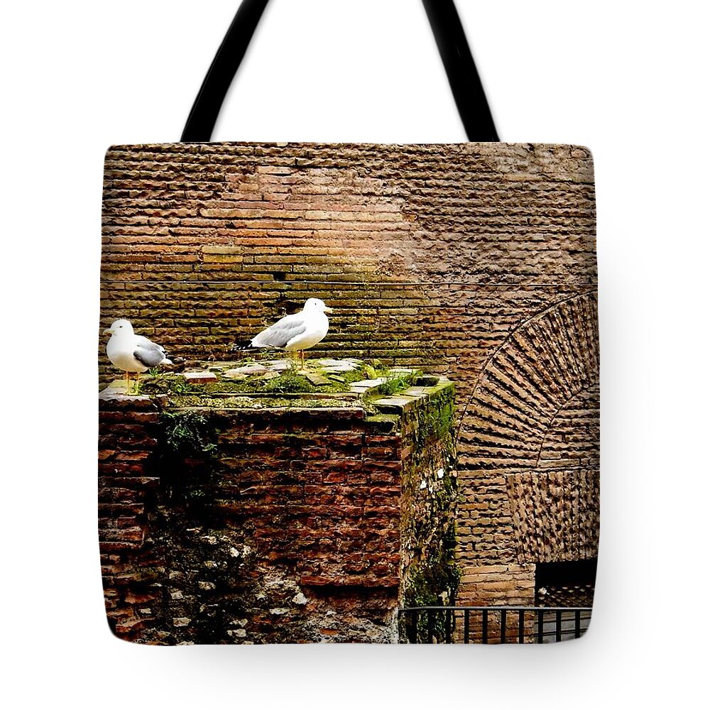 Seagull Tote Bag featuring the photograph Seagulls by the Pantheon by Melinda Dare Benfield