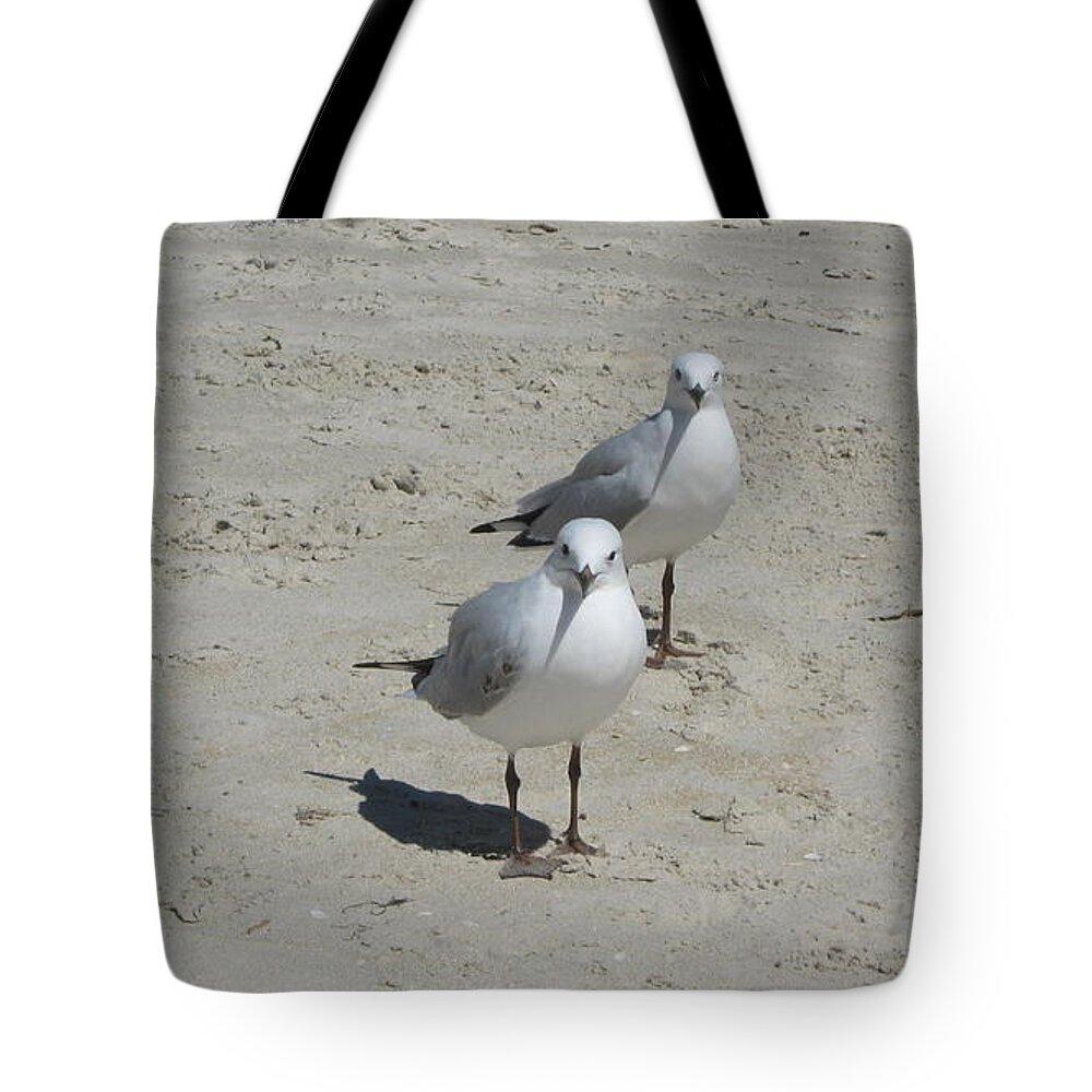 Seagull Seagulls Birds Beach Sand Australia Tote Bag featuring the photograph Seagulls by Emma Frost
