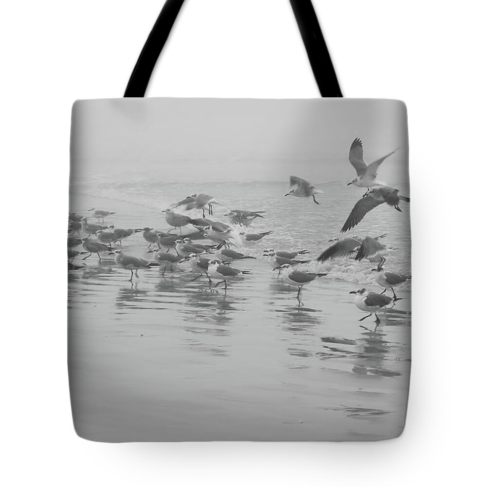 Seagulls Tote Bag featuring the photograph Seagulls on a Foggy Beach by Frances Miller