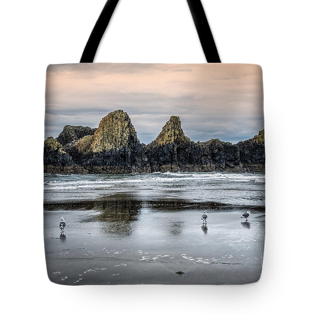 Alandersen.com Tote Bag featuring the photograph Seagulls On Beach At Seal Rock by Al Andersen