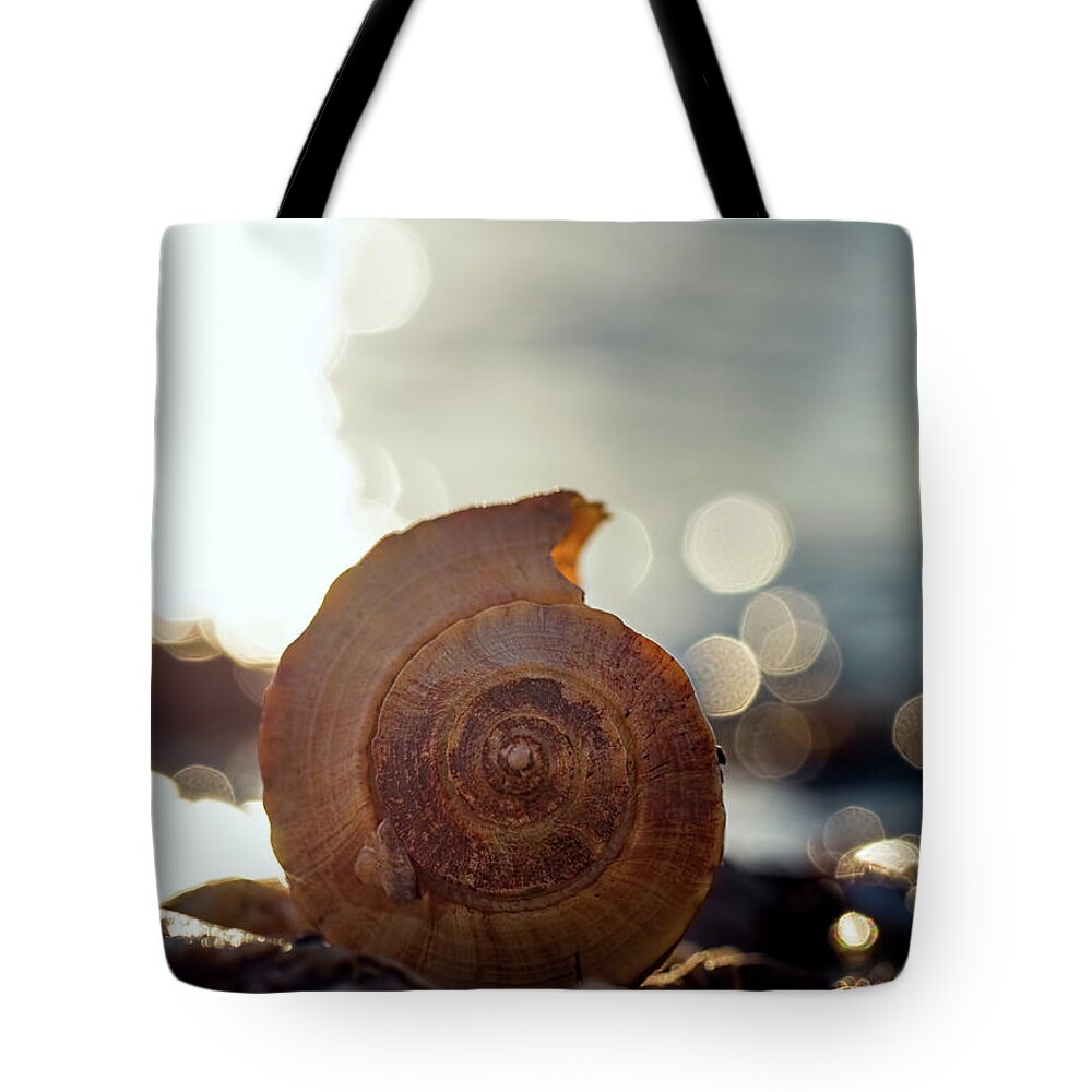 Seashell Tote Bag featuring the photograph Seashell Bokeh by Brad Boland