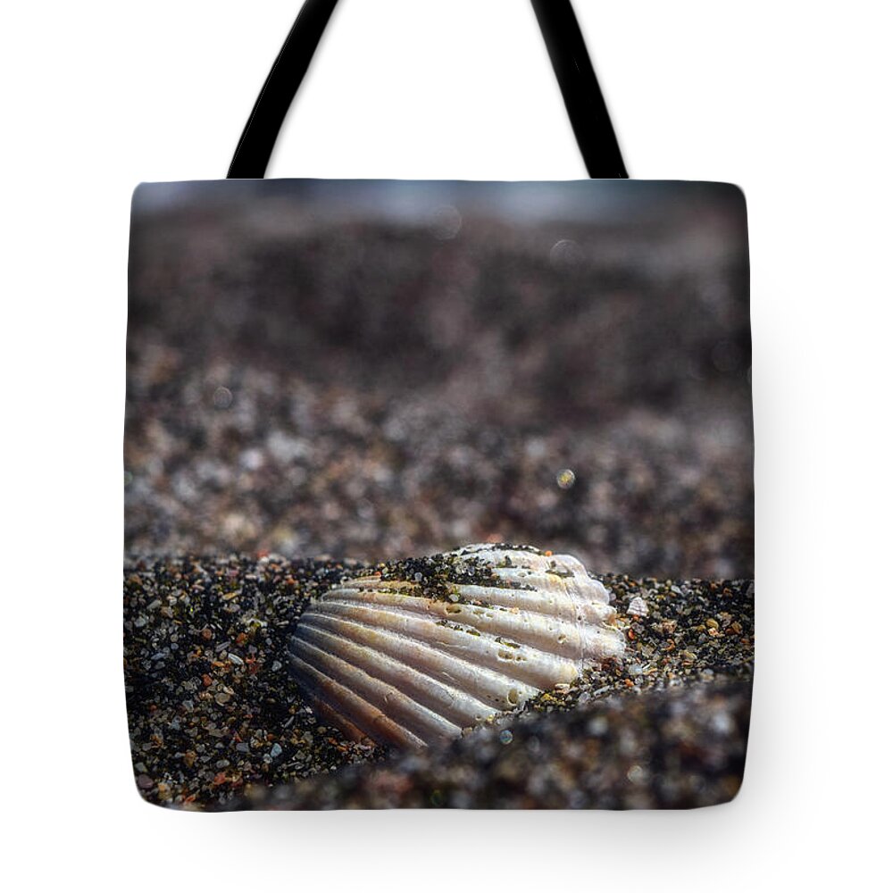 Sea Tote Bag featuring the photograph Seashell by Plamen Petkov