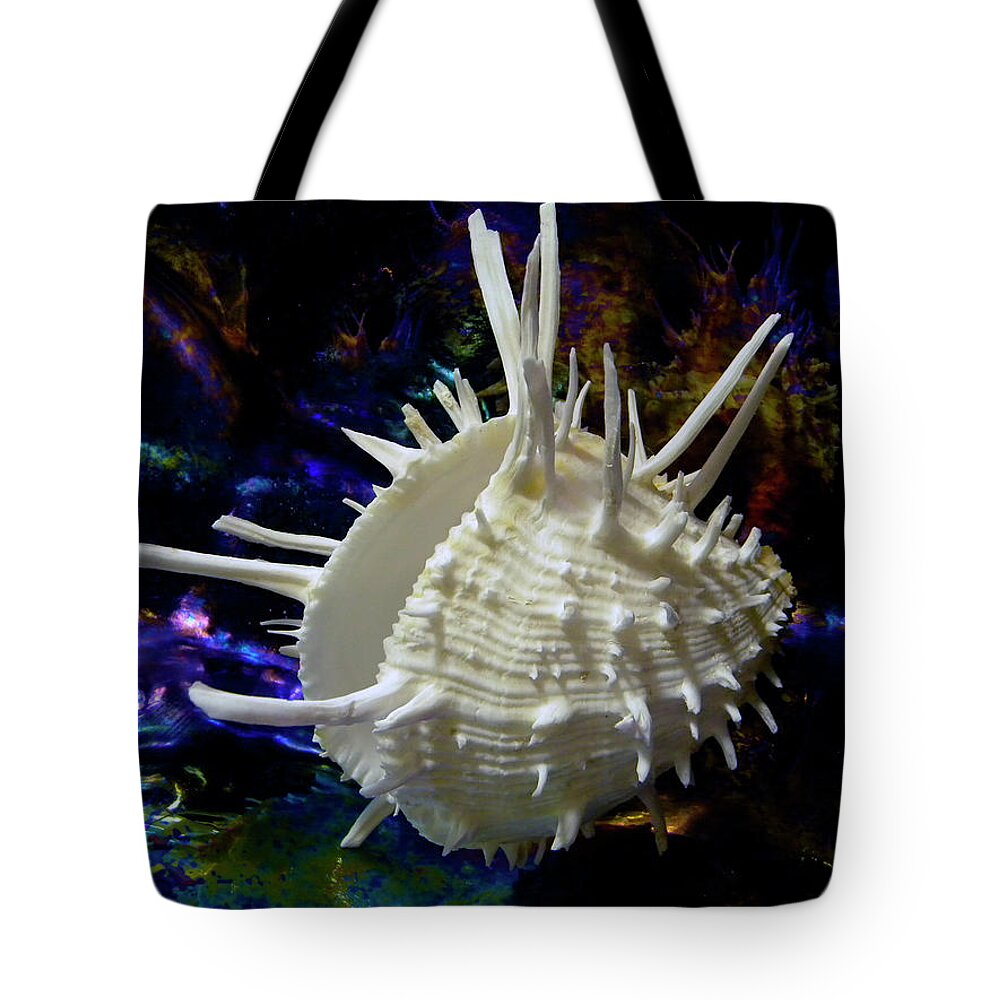 Frank Wilson Tote Bag featuring the photograph Seashell Spondylus americanus by Frank Wilson