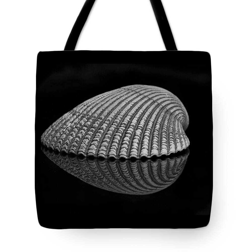Seashell Tote Bag featuring the photograph Seashell Study by Morgan Wright