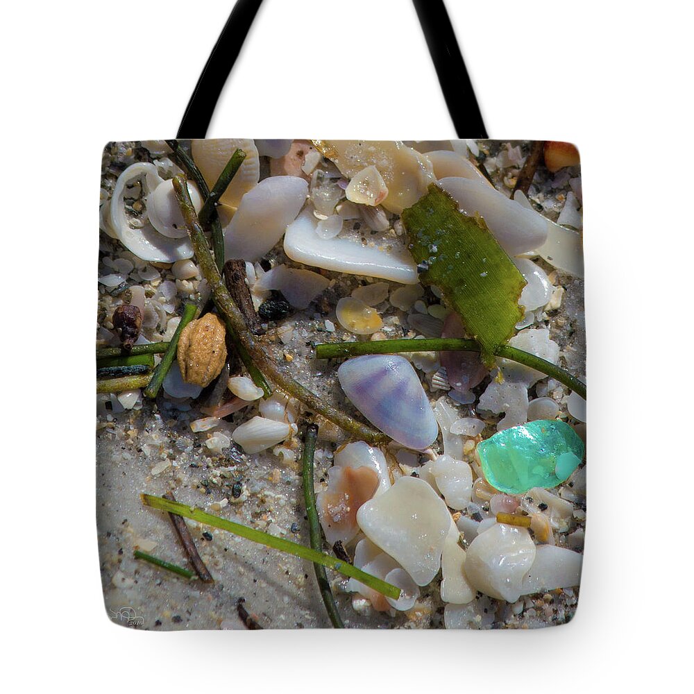 Susan Molnar Tote Bag featuring the photograph Seaside Treasures 2 by Susan Molnar