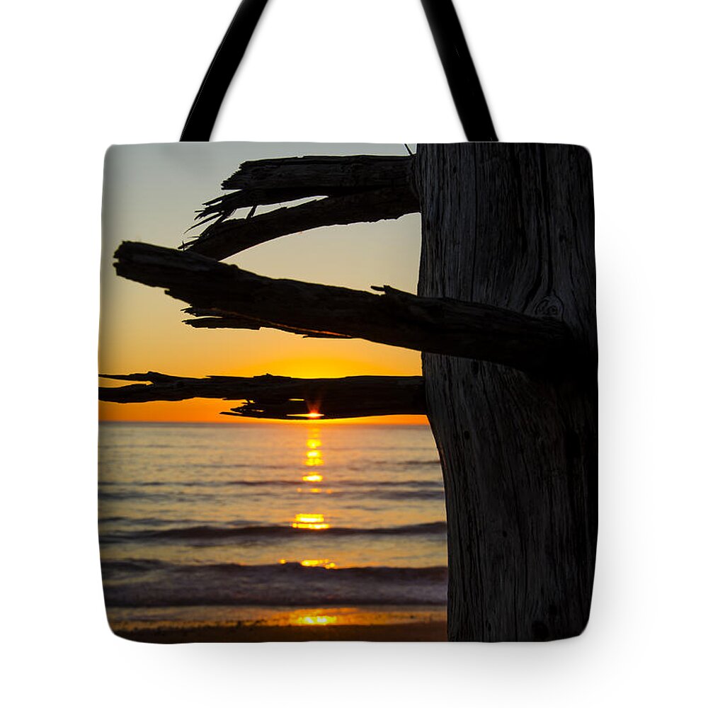 Branch Tote Bag featuring the photograph Seaside Tree Branch Sunset by Pelo Blanco Photo