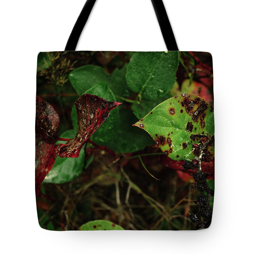 Leaves Tote Bag featuring the photograph Season Color by Gene Garnace