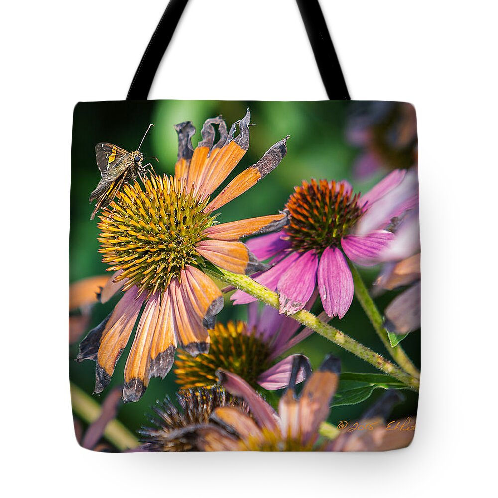 Flowers Tote Bag featuring the photograph Season Ending by Ed Peterson