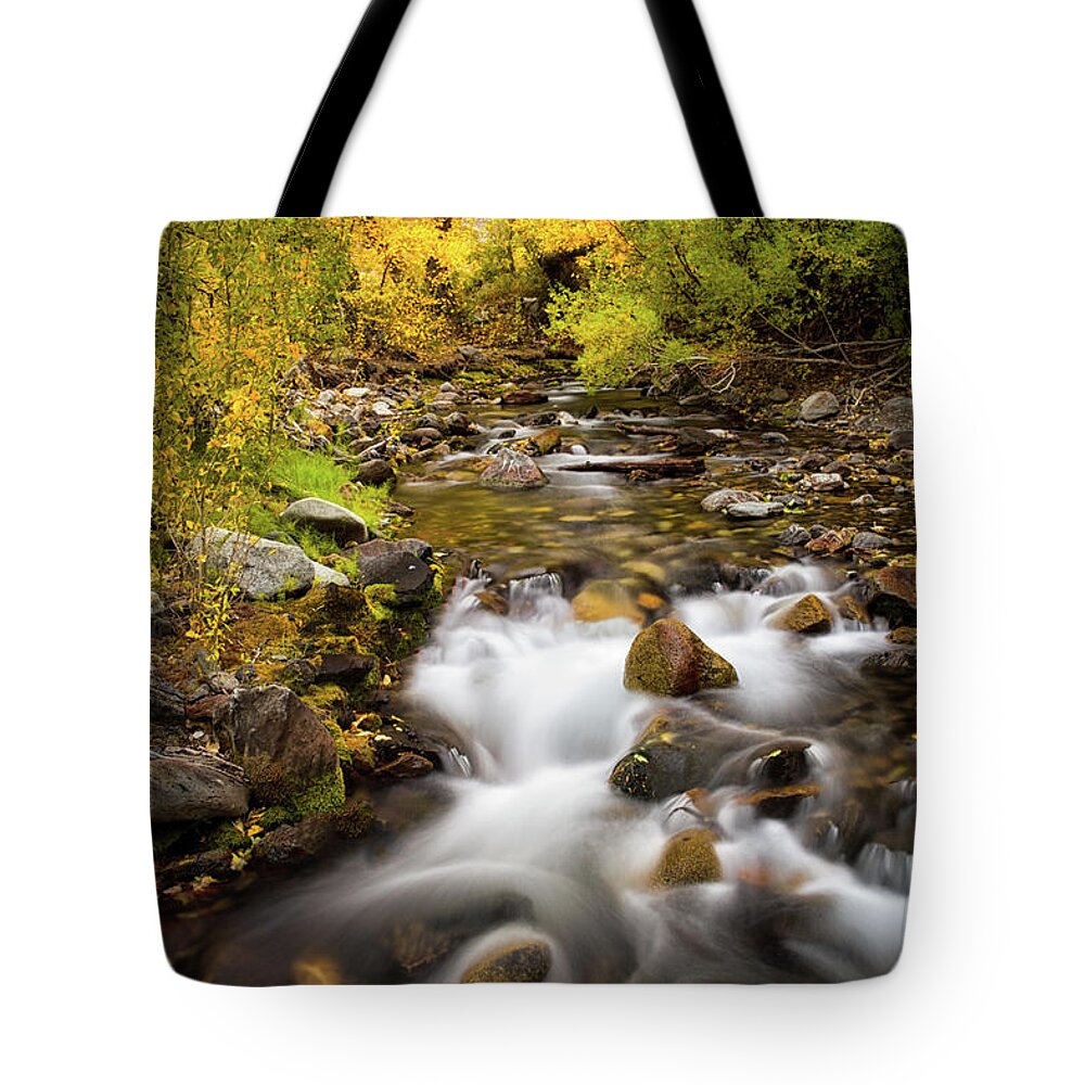 California Tote Bag featuring the photograph Seasonal Moments by Nicki Frates