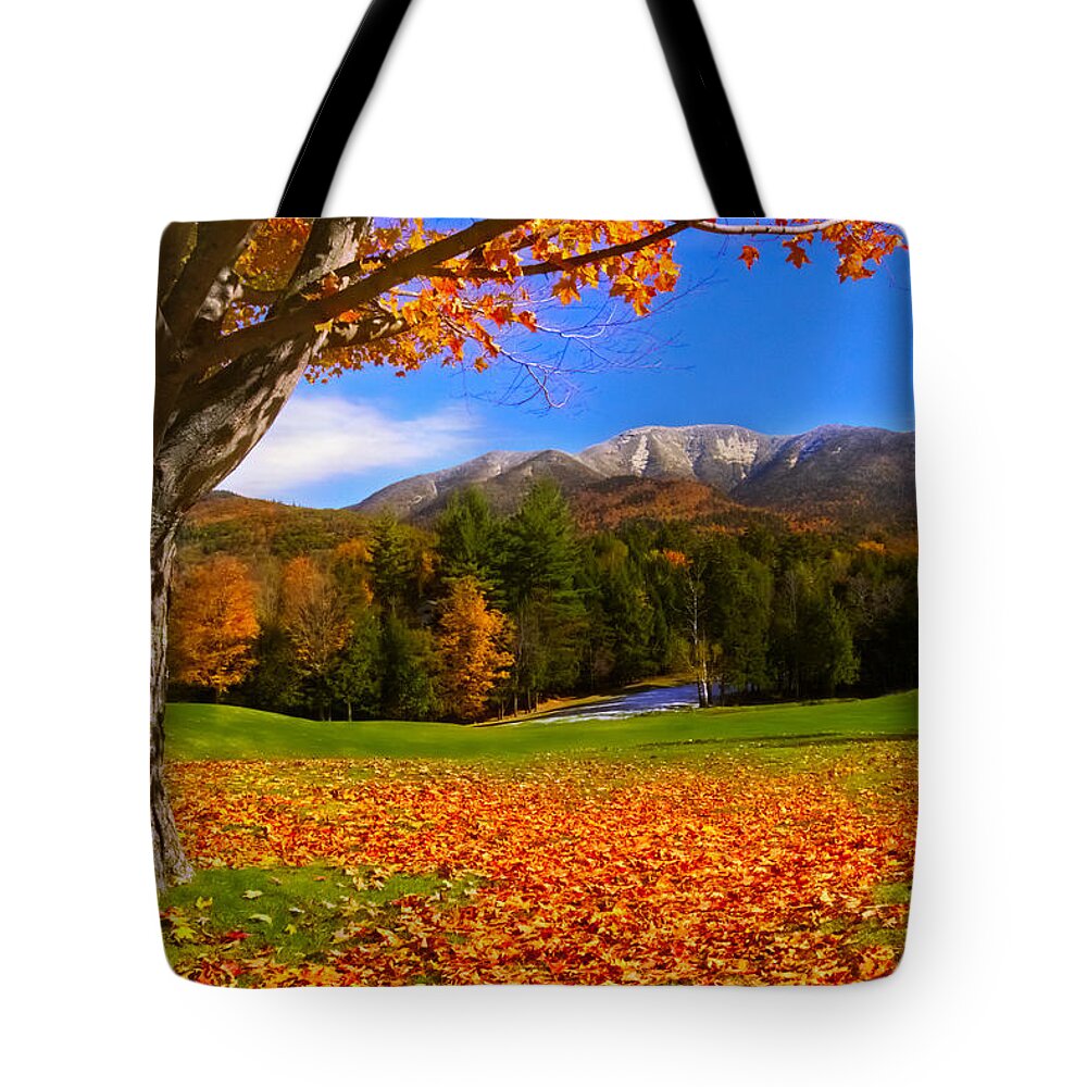 Fall Tote Bag featuring the photograph Seasons by Amanda Jones