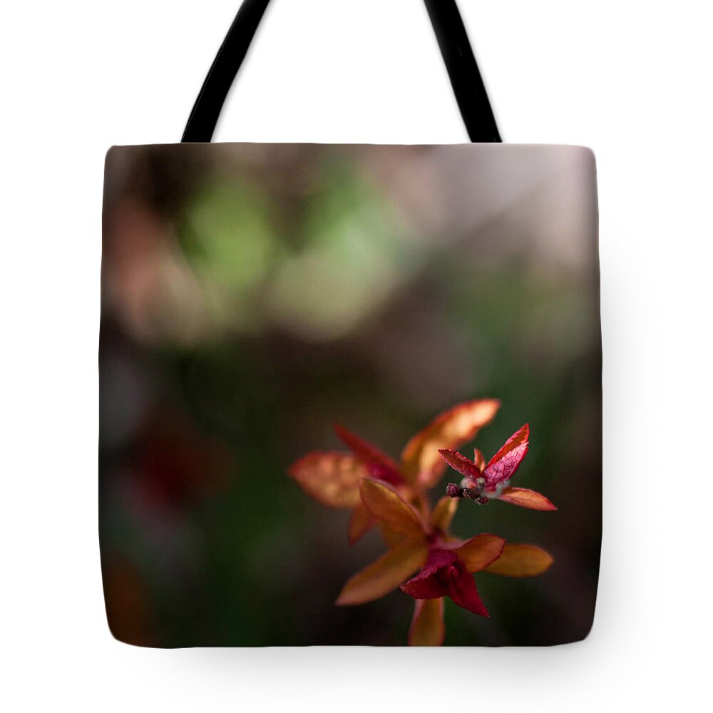 Outside Tote Bag featuring the photograph Seasons Beginning by Cherie Duran