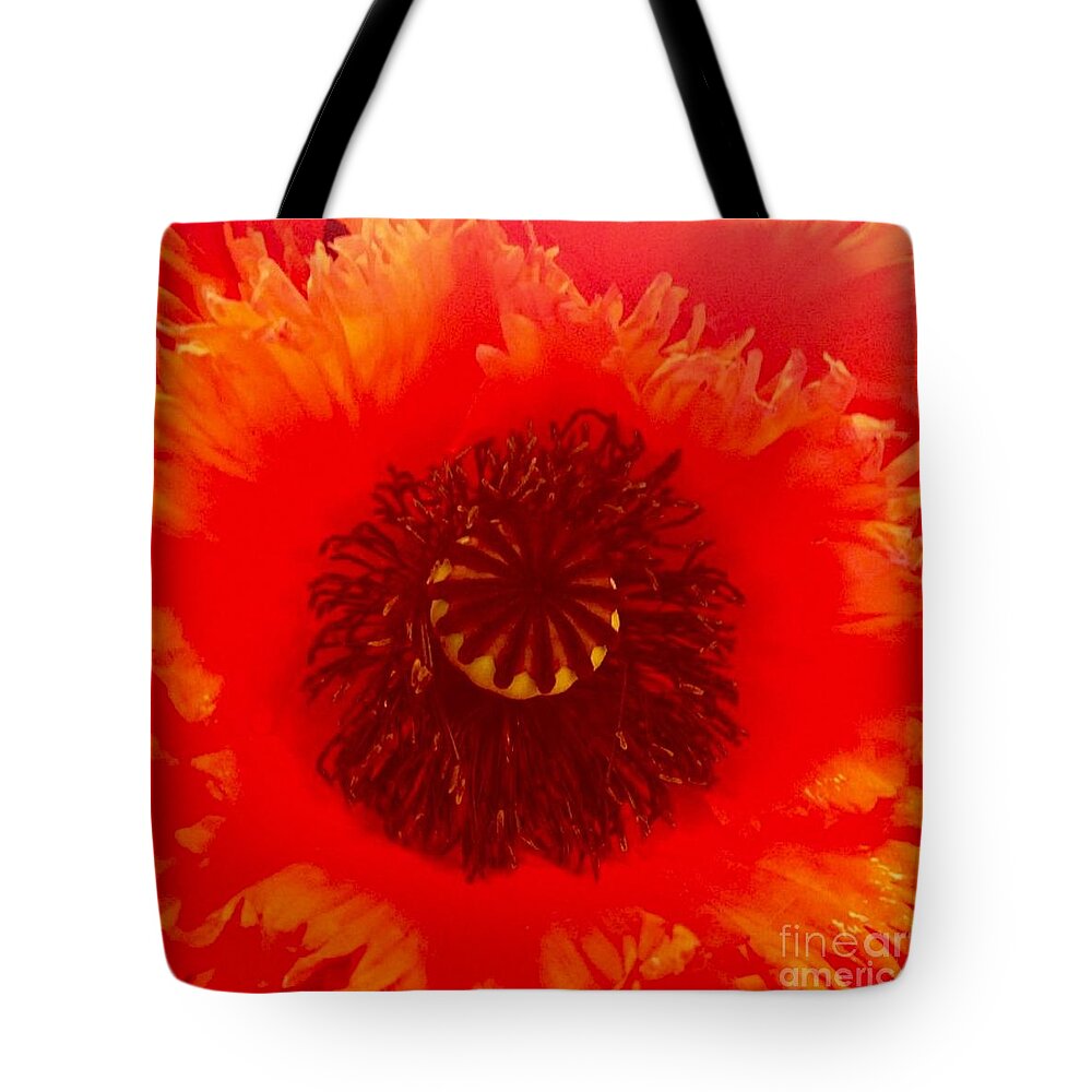 Flower Tote Bag featuring the photograph Seattle by Denise Railey