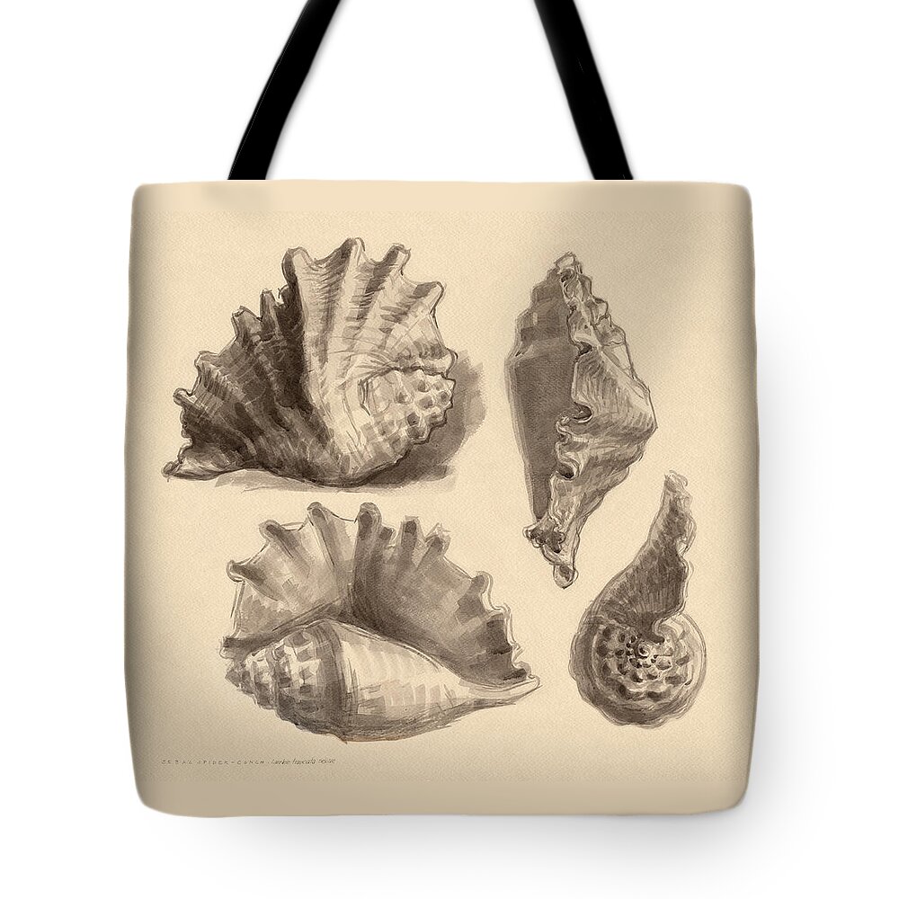 Seashell Tote Bag featuring the painting Seba's Spider Conch by Judith Kunzle