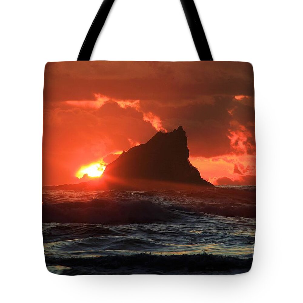 Olympic National Park Second Beach Tote Bag featuring the photograph Second Beach Shark by Adam Jewell