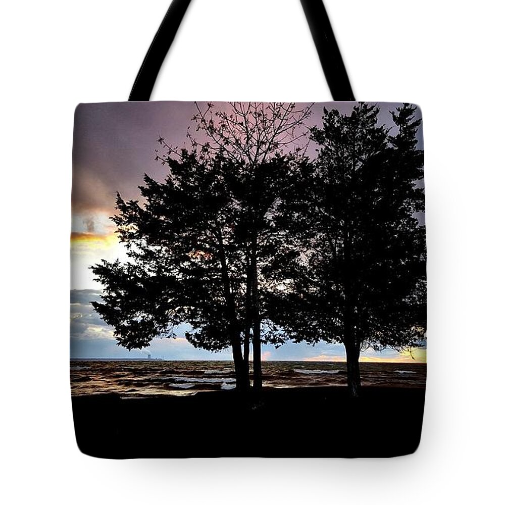 Moods Tote Bag featuring the photograph Second Visit by Dani McEvoy